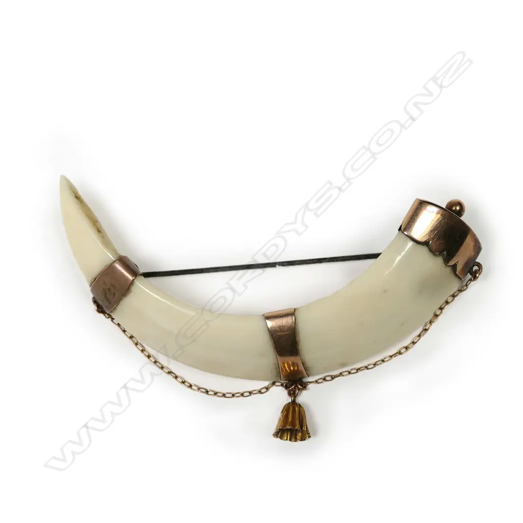 Adolph Kohn (Auckland) 9ct gold tusk brooch, Image 1++
